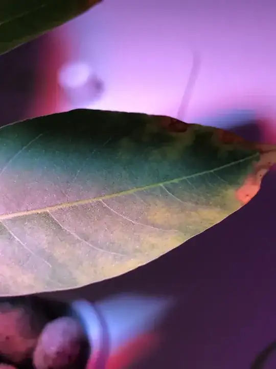 And here you can see what i am talking about