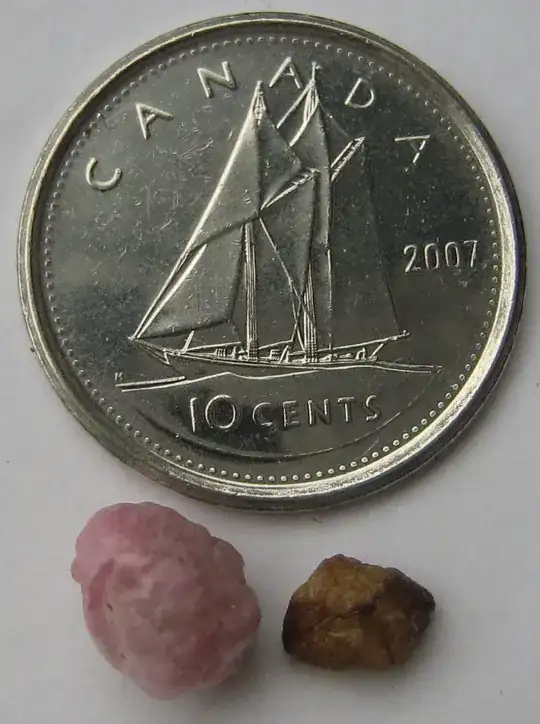 topside of peeled seed