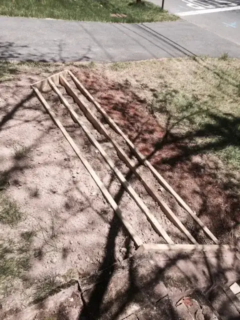 spots on gardenia stems