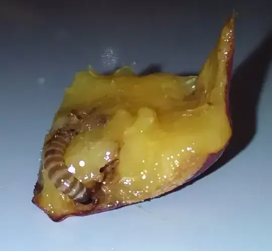 coloring of larva under camera flash