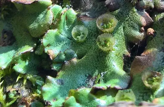 Crop of the leaves (?)