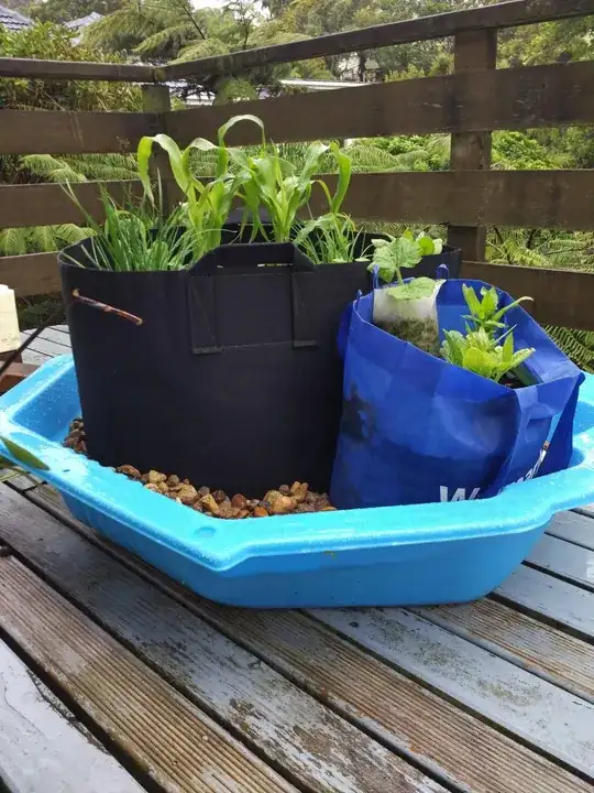 enter link description here