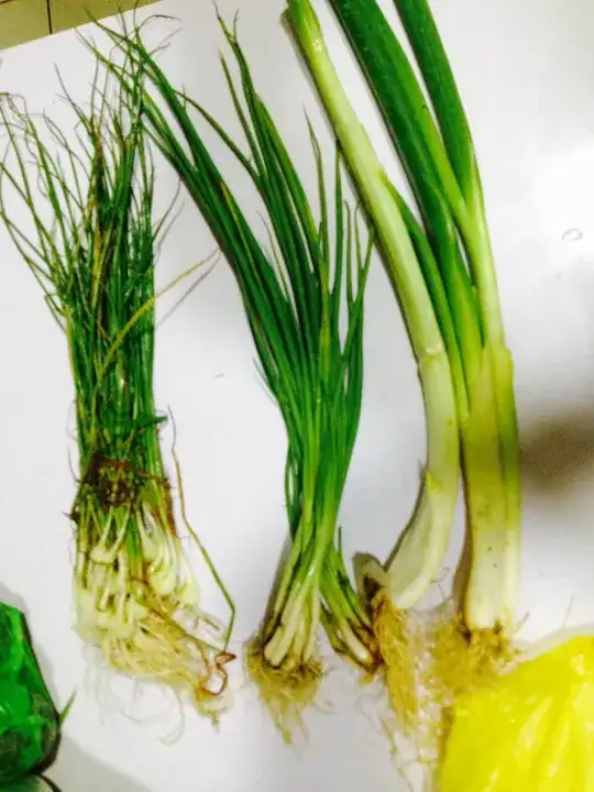 This is the image I'm referring to: