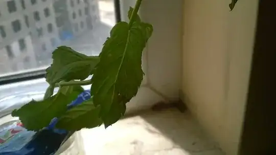 It has a small brown patch on one of the leaves.