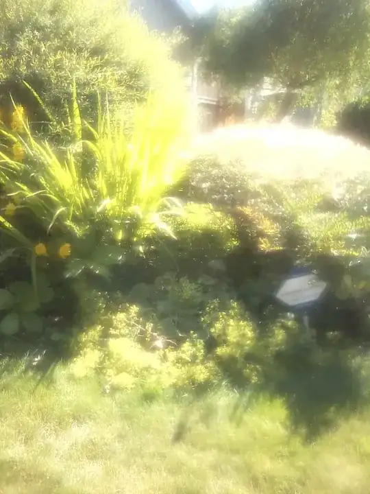 sheared Blue Arctic Willows for small yard soft hedges