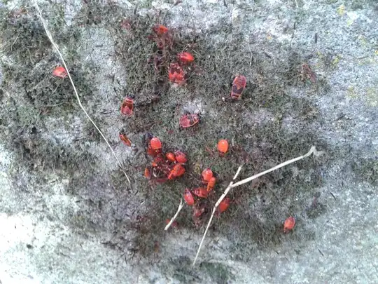 ![enter image description here