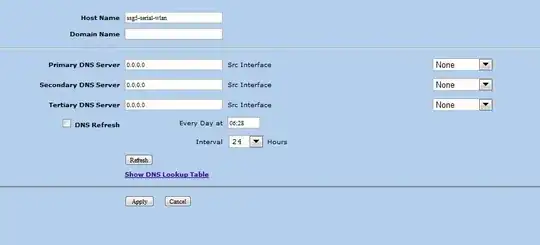 SSG DNS Configuration Screenshot