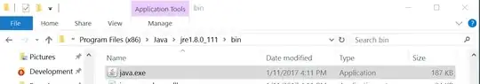The java.exe