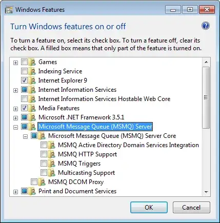 Check the feature 'Microsoft Message Queue (MSMQ) Server to install MSMQ support.
