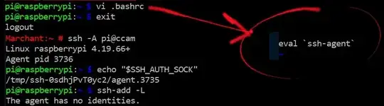 Added ssh-agent to host