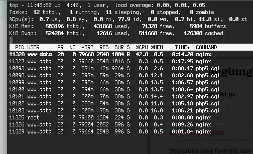 top: monitoring php and nginx