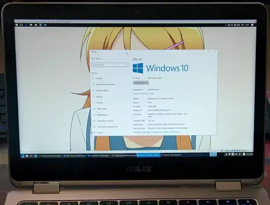 Windows VM on GalliumOS on a Chromebook