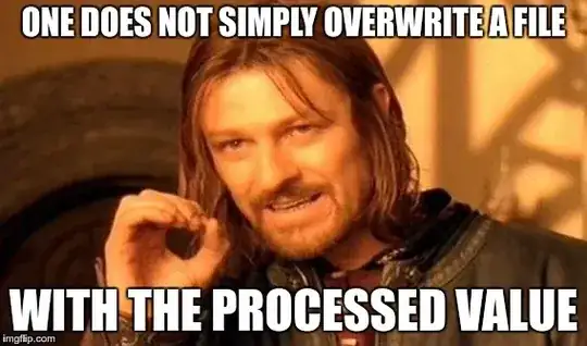 ONE DOES NOT SIMPLE OVERWRATE A FILE WITH THE PROCESSED VALUE