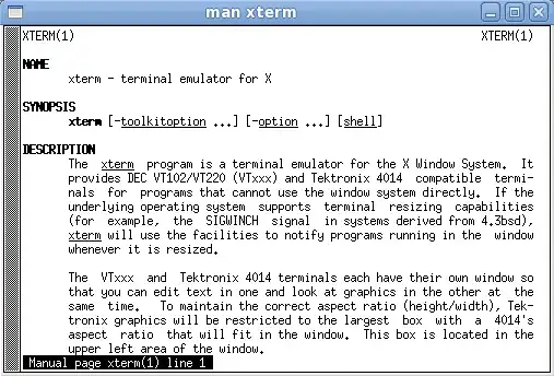 ss of man page in xterm