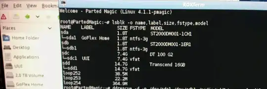 PartedMagic screenshot, both 2TB drives appear