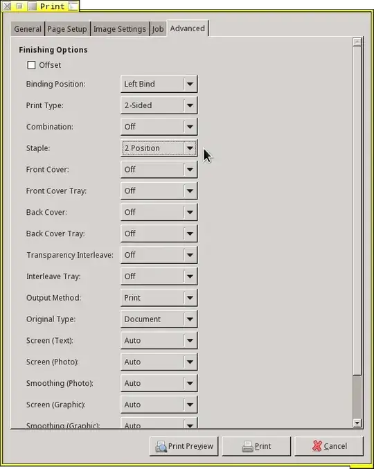 screenshot of required options within a print dialogue