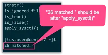 output after a new shell prompt