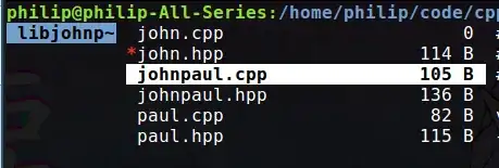 Screenshot of directory listing with red star asterisk
