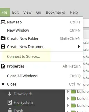 Option Connect to Server of the menù File