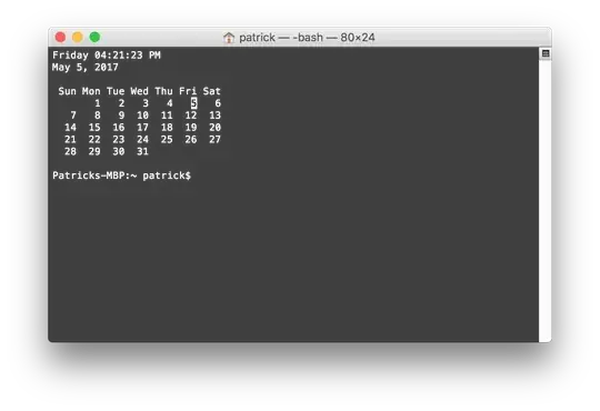 Terminal after program output