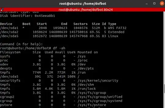 df -ah result is inconsistent to fdisk result