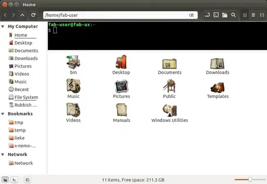 Nemo with terminal active