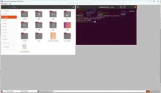 Input command in VNC viewer